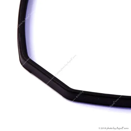 JBL CristalProfi gumitömítés fejhez e400/401/402, e700/701/702, e900/901/902