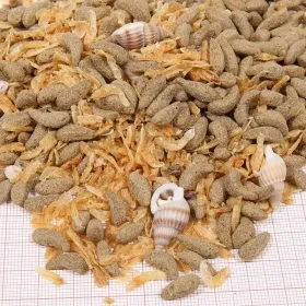 JBL Proterra Molluscus 2,5 liter - Csiga, gammarus és halrudak vízi teknősöknek