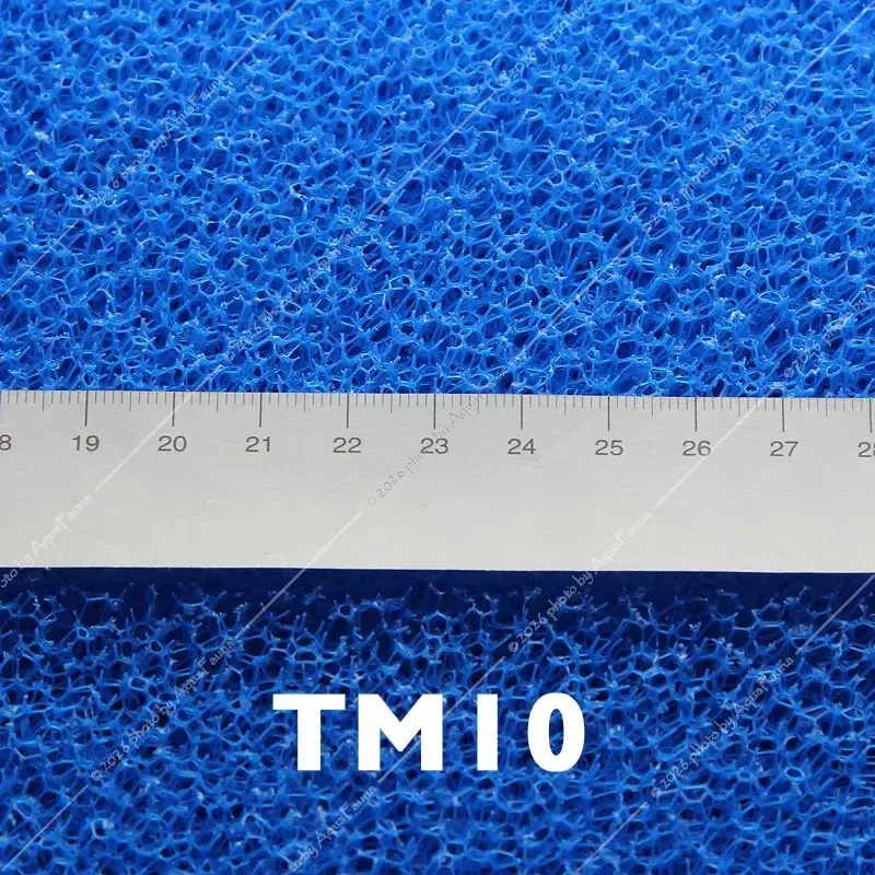 JBL szűrőszivacs, DURVA TM10 - 50 x 50 x 10 cm