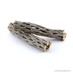 Naturdekor - Cholla kaktusz 6" (Cholla wood) fa dekoráció - 15 cm