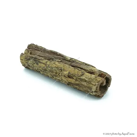 Naturdekor - Terminalia catappa bark - Indiai mandulafa kéreg (tebangkéreg) 13-18 cm, Ø3-4 cm / db