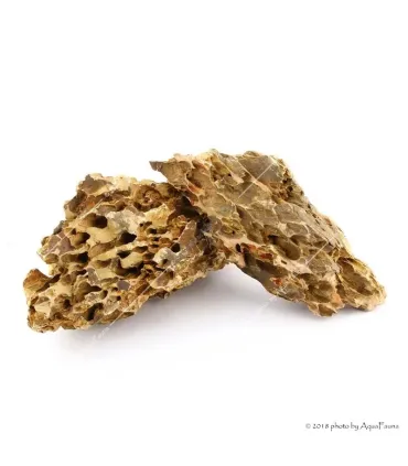 Dekorkő - Dragon / kg