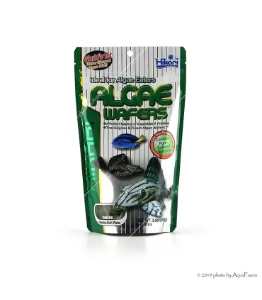 Hikari Algae Wafers - 250 g - tabletta eleség algázóknak