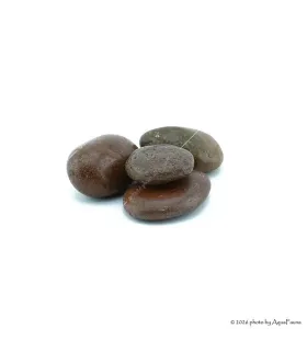 Dekorkő - Coffee 5-7 cm / db