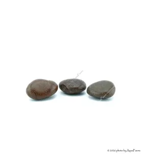 Dekorkő - Coffee 5-7 cm / kg