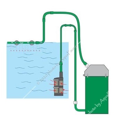 Eheim szivacs előszűrő (4004320)