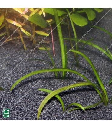 JBL Sansibar DARK (BLACK) 10 kg - természetes akvárium talaj - fekete