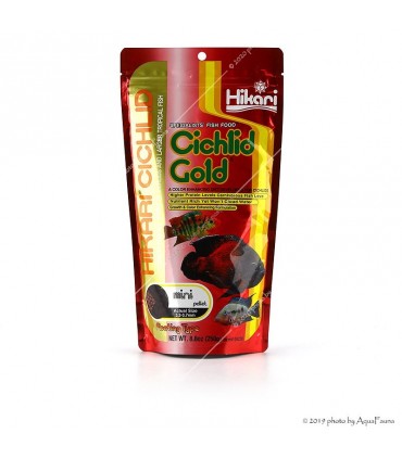 Hikari Cichlid Gold Mini - 250 g (750 ml) - lebegő színfokozó granulátum eleség kistestű sügéreknek