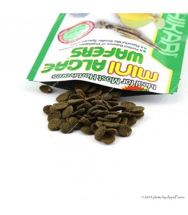 Hikari Mini Algae Wafers - 22 g - tabletta eleség algázóknak