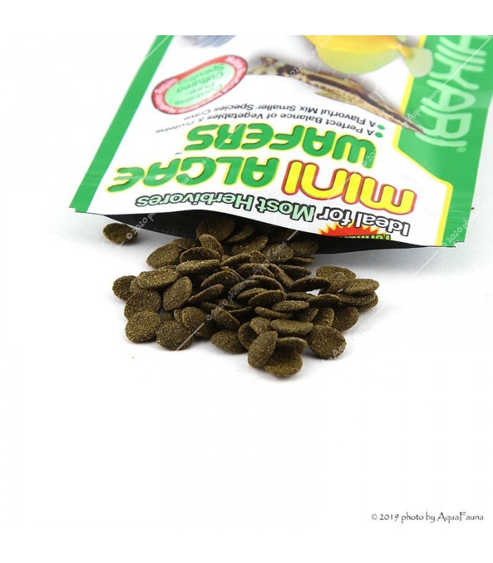 Hikari Mini Algae Wafers - 85 g - tabletta eleség algázóknak