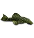 Ancistrus sp. M (6-8 cm)