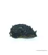 Neritina juttingae - King Koopa csiga