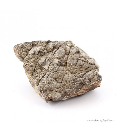 Dekorkő - Grey Mountain / kg