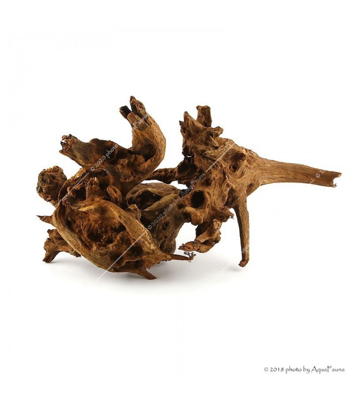 Driftwood dekorfa M 30-60 cm/ Kg