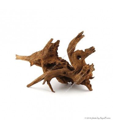 Driftwood dekorfa M 30-60 cm/ Kg