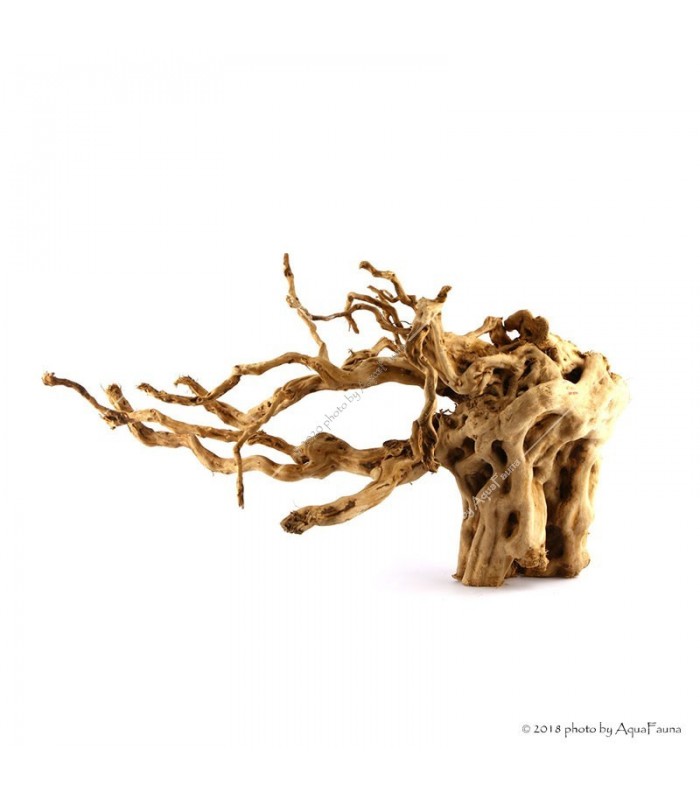 Finger gyökér dekorfa (40-50 cm) (Spiderwood, Red moor) / kg