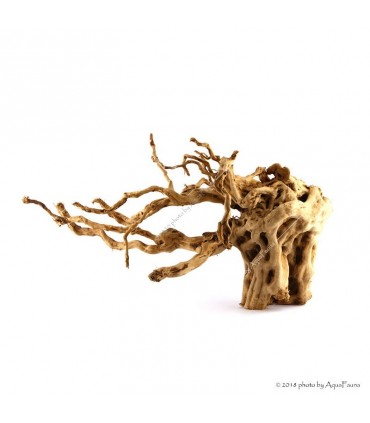 Finger gyökér dekorfa (40-50 cm) (Spiderwood, Red moor) / kg