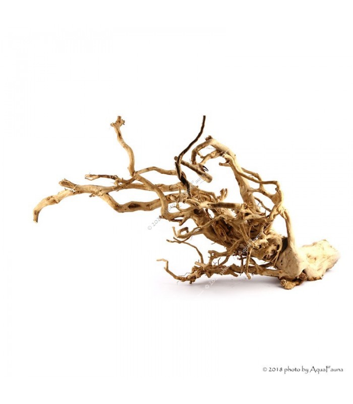 Finger gyökér dekorfa (40-50 cm) (Spiderwood, Red moor) / kg