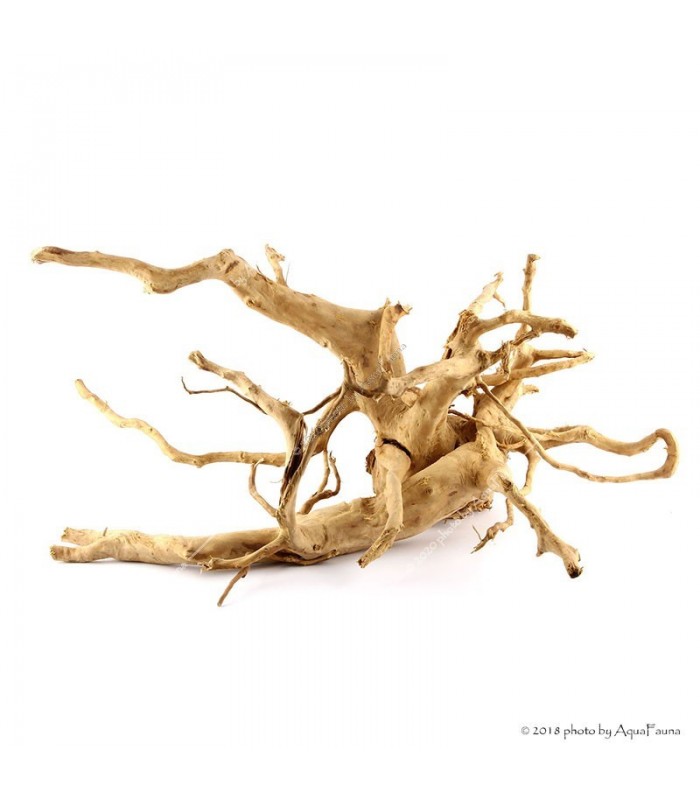 Finger gyökér dekorfa (40-50 cm) (Spiderwood, Red moor) / kg