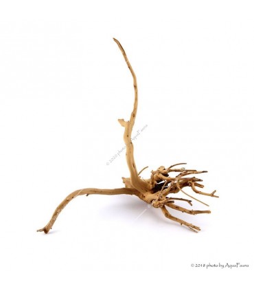 Finger-gyökér nano dekorfa (10-20 cm) (Spiderwood, Red moor) / db