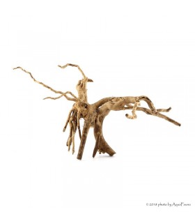Finger-gyökér Small dekorfa (30-40 cm) (Spiderwood, Red moor) / db