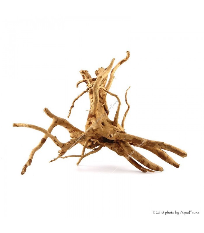 Finger-gyökér Small dekorfa (15-30 cm) (Spiderwood, Red moor) / db