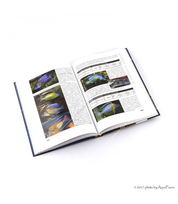 Lukács-Sinkó: A Tanganyika- és a Malawi-tó sügérvilága