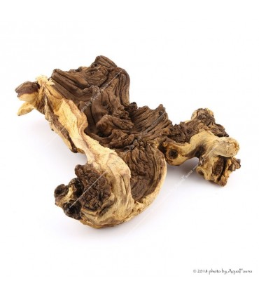 Mopani (vasfa) dekorfa / kg