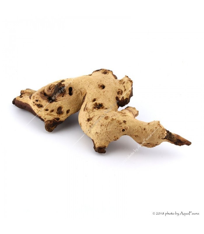 Mopani (vasfa) dekorfa / kg