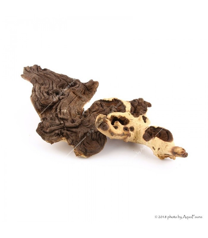 Mopani (vasfa) dekorfa / kg