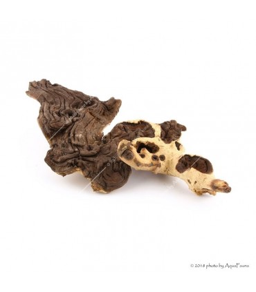 Mopani (vasfa) dekorfa / kg