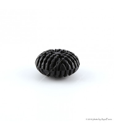 ISTA Compact Bio-Ball - 100 db - műanyag biológiai szűrőanyag