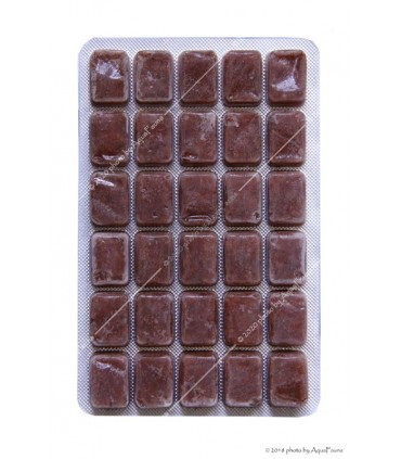 Fagyasztott Artemia - 100 g