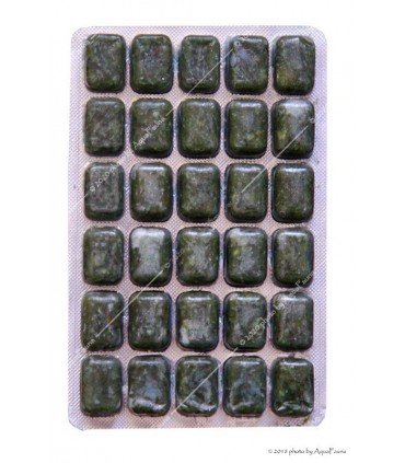 Fagyasztott Lorikária mix - 100 g