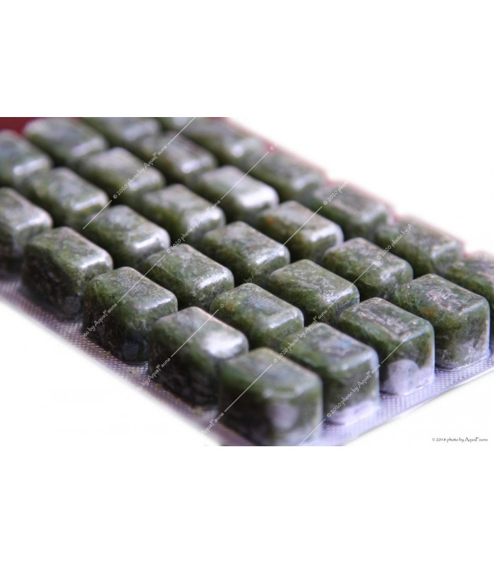 TropiCarry Lorikária mix - 100 g