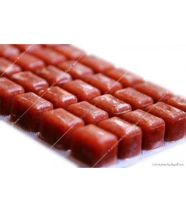 TropiCarry Vízibolha - 100 g