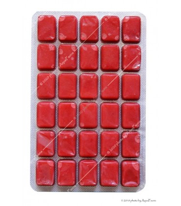 Fagyasztott Vörös plankton - 100 g