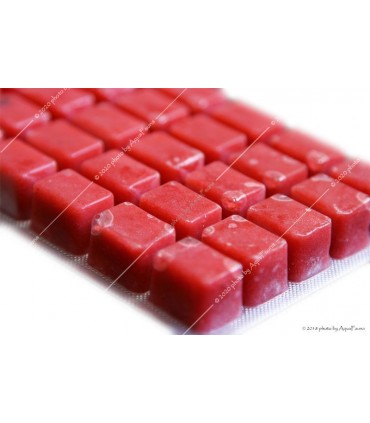 Fagyasztott Vörös plankton - 100 g