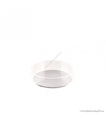 ISTA garnéla etető tál - üveg