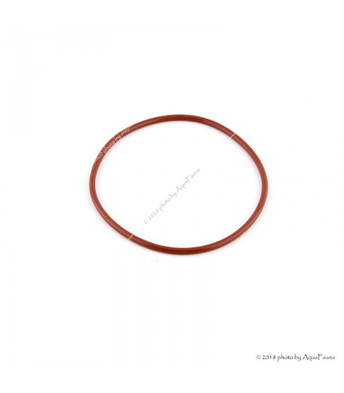 Eheim Classic 2211 tömítőgyűrű a szűrőfejhez (7272658)