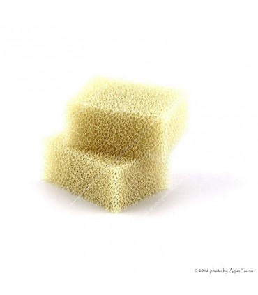 Eheim PickUp 45 (2006) szűrőszivacs - fehér (2 db) (2615060)