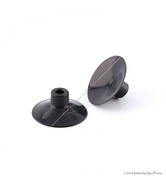 Eheim tapadókorong 4 db, nagy (7271100)