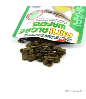 Hikari Mini Algae Wafers - 85 g - tabletta eleség algázóknak