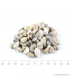 SZAT aljzat P3 gyöngykavics (5 kg) 6-10 mm