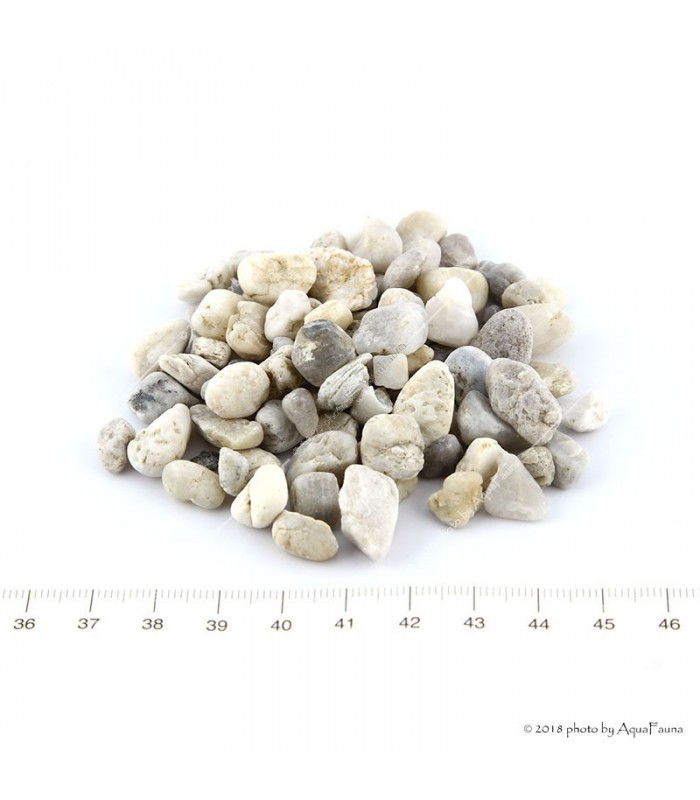 SZAT aljzat P3 gyöngykavics (5 kg) 6-10 mm