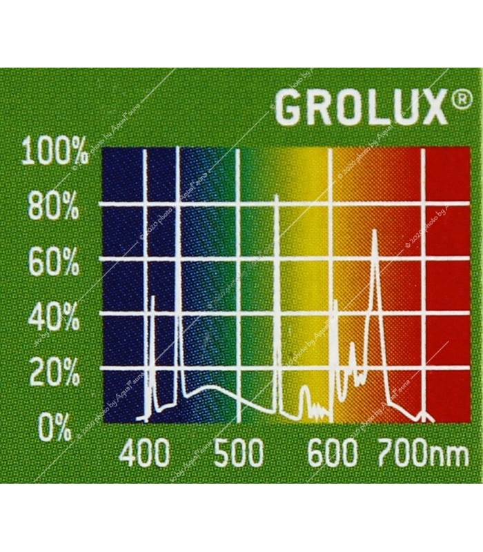 Sylvania GroLux FHO 80W - T5 növényes fénycső - 145 cm