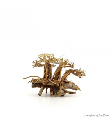 Bonsai Layout Family dekorfa - 20x15x15 cm