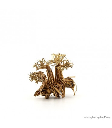 Bonsai Layout Family dekorfa - 20x15x15 cm