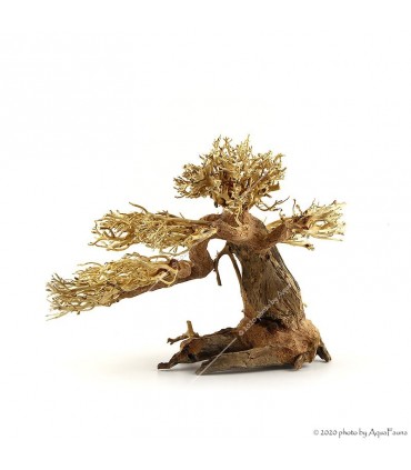 Bonsai Wood M dekorfa - 30x23x27 cm