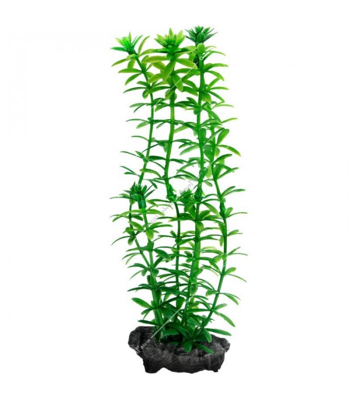 Tetra DecoArt Plant M Anacharis - 23 cm